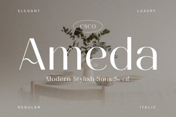 Ameda Sans Serif Font for Modern Marketing
