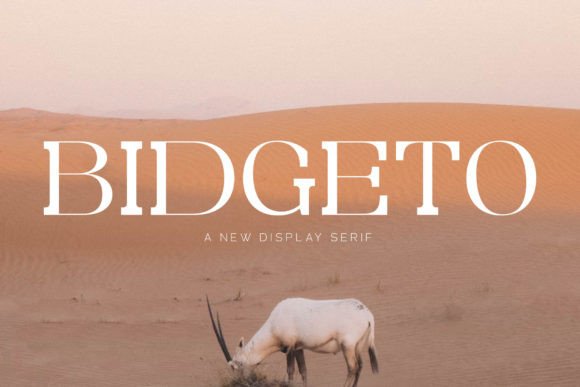 Bidgeto: A Serif Font That Elevates Digital Design
