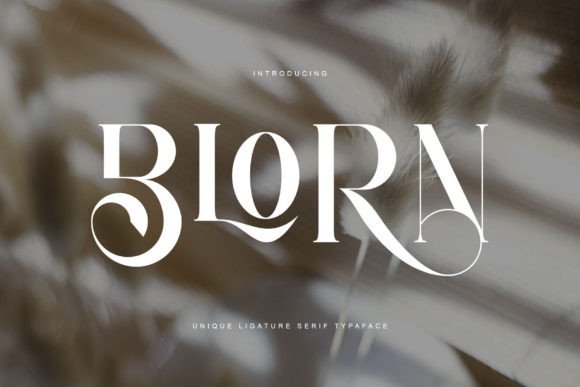 Blorn Serif Font for Modern Branding Projects