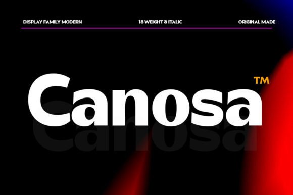 How Canosa Transformed My Brand’s Visual Identity