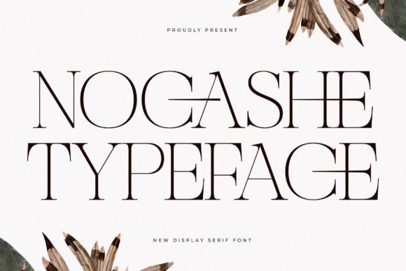 Nocashe: A Serif Font That Elevates Branding
