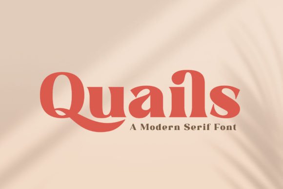 Quails Font for Professional Branding