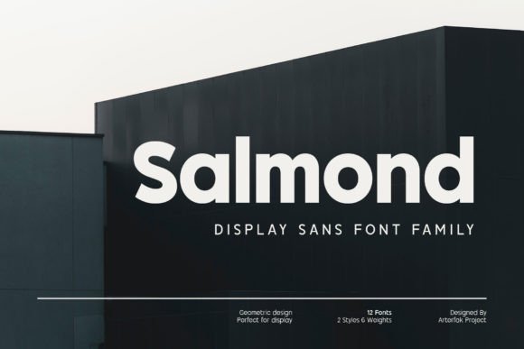 Salmond: A Modern Sans Serif Font for Editorial Design