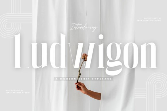 Testing Ludwigon for a Modern Web Design Project