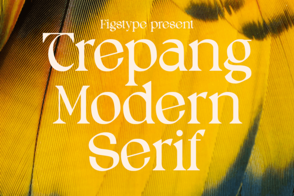 Trepang: A Timeless Serif Font for Digital Branding